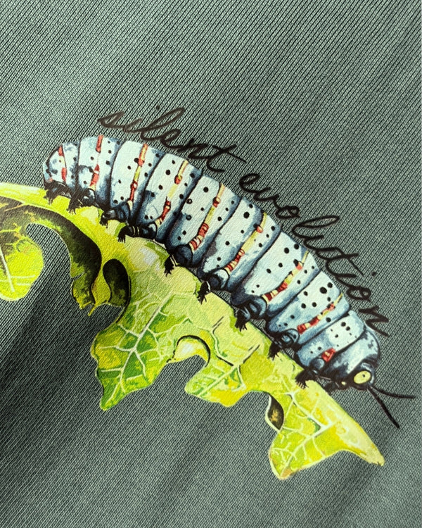 CATERPILLAR 225