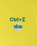 CTRL + Z 240