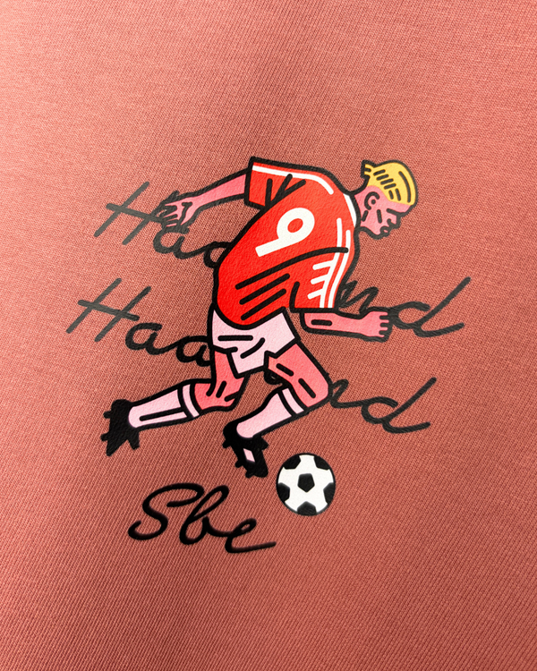 HAALAND 240